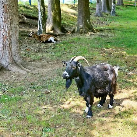 Camping Park Knaus Lackenhaeuser, Neureichenau Neureichenau